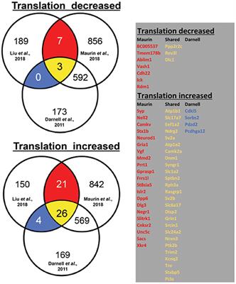 Fragile X Mental Retardation Protein: To Be or Not to Be a Translational Enhancer